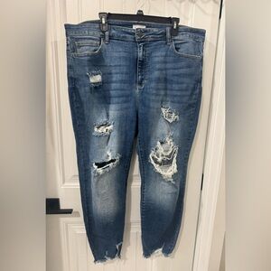 Cello Classic Blue Denim Jeans